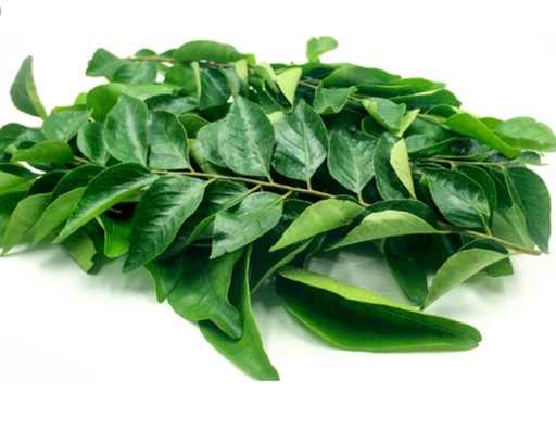 [RV025] Curry Leaves