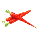 Carrot - Red