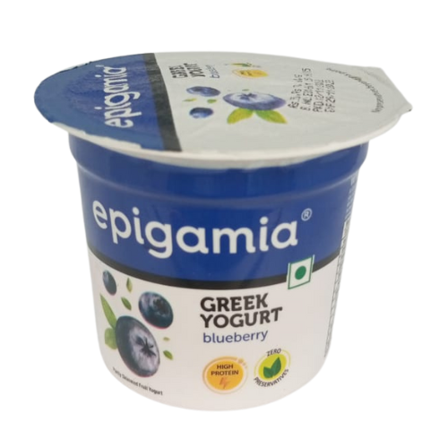 Epigamia Blueberry Greek Yogurt 90gm