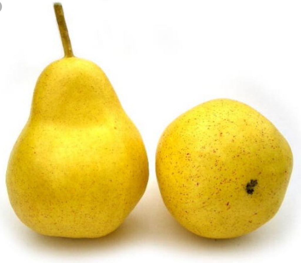 Pear Indian ( Babubosha )