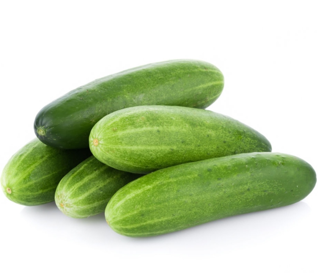 Cucumber Normal