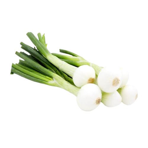 Spring Onion