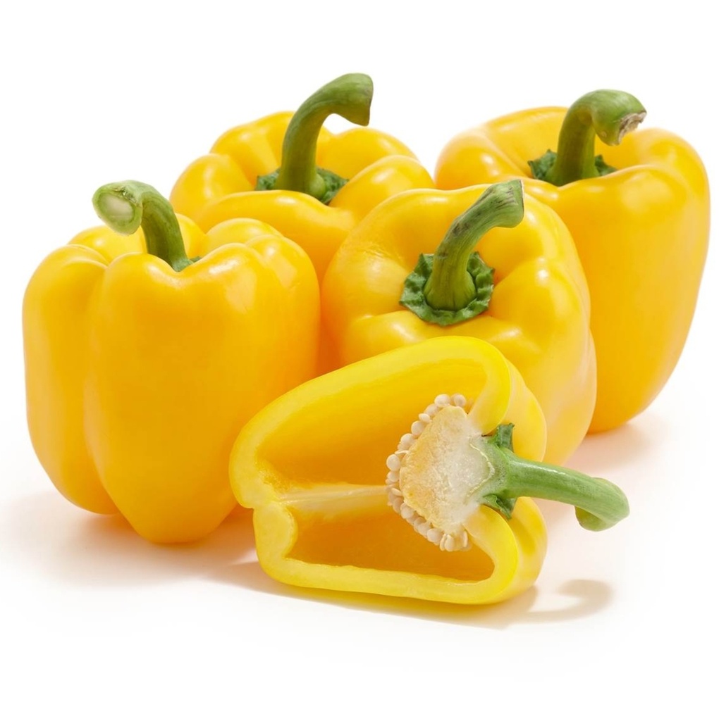 Capsicum - Yellow (Bell Pepper)