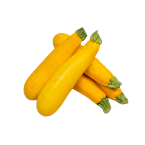 Zucchini - Yellow