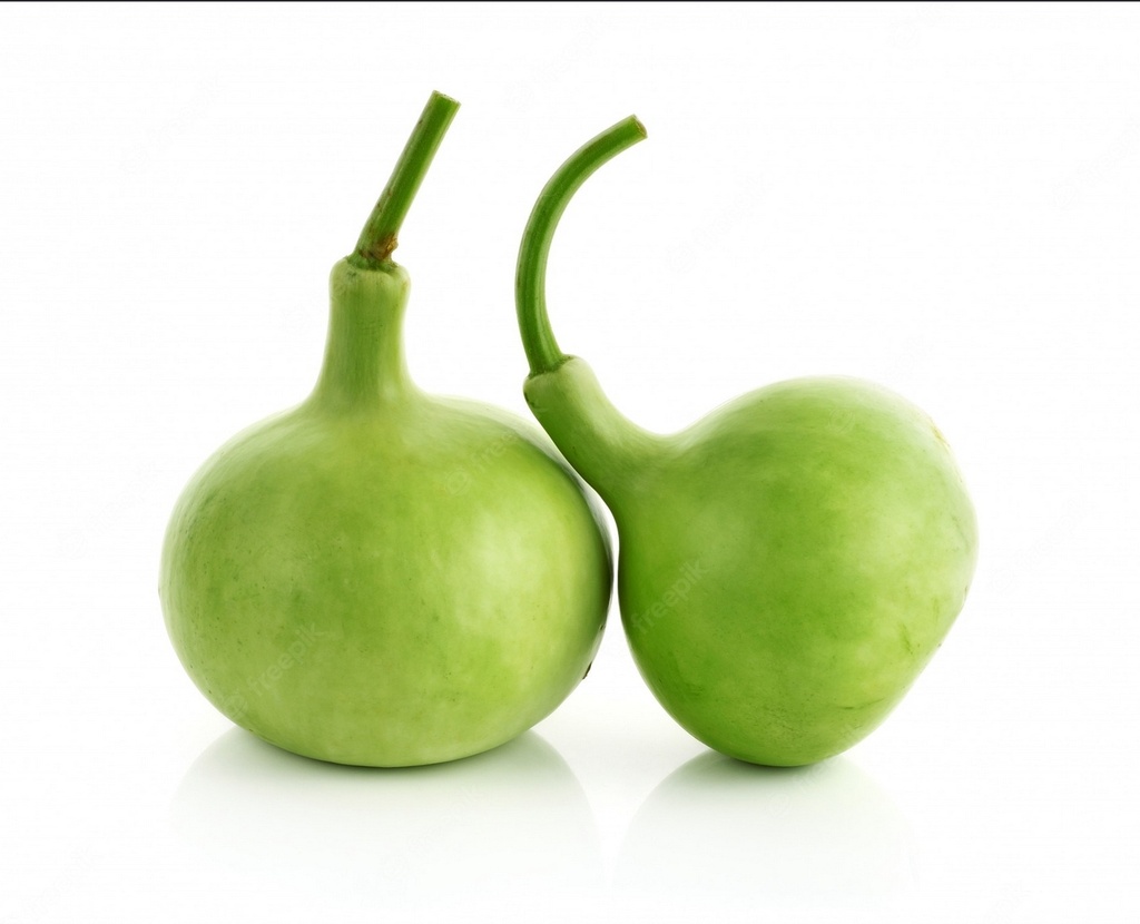 Bottle Gourd - Round (lauki)