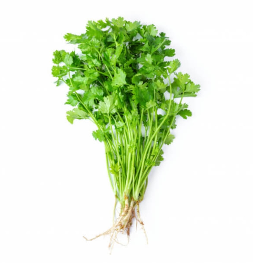 Coriander Leaves (Dhania)