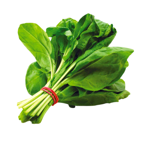 Spinach (Palak)