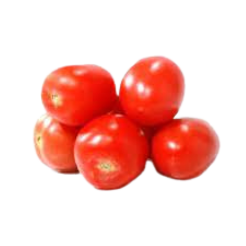 Tomato (Hybrid)