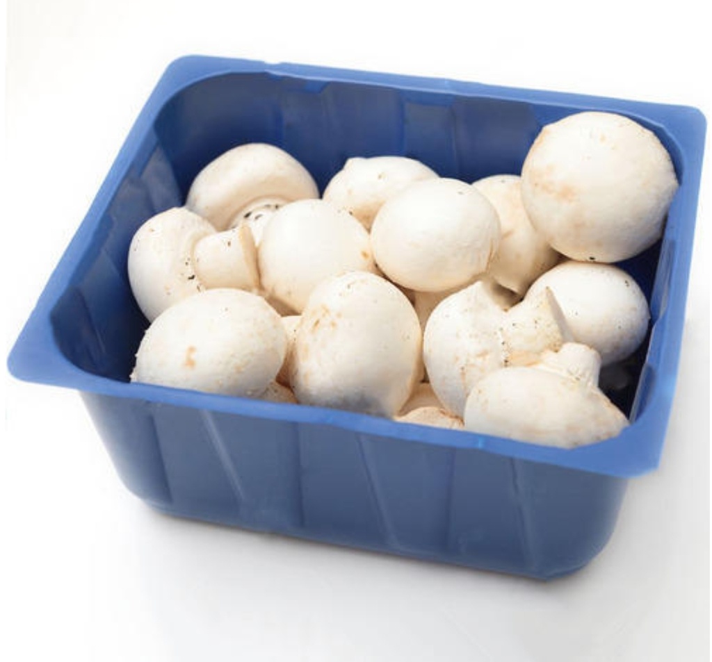 Mushroom 200gm Box *