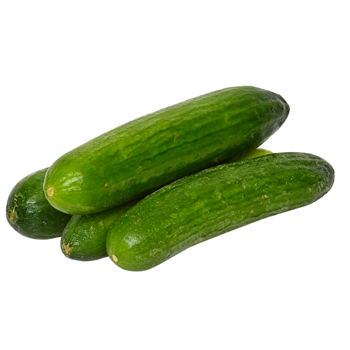 Cucumber English