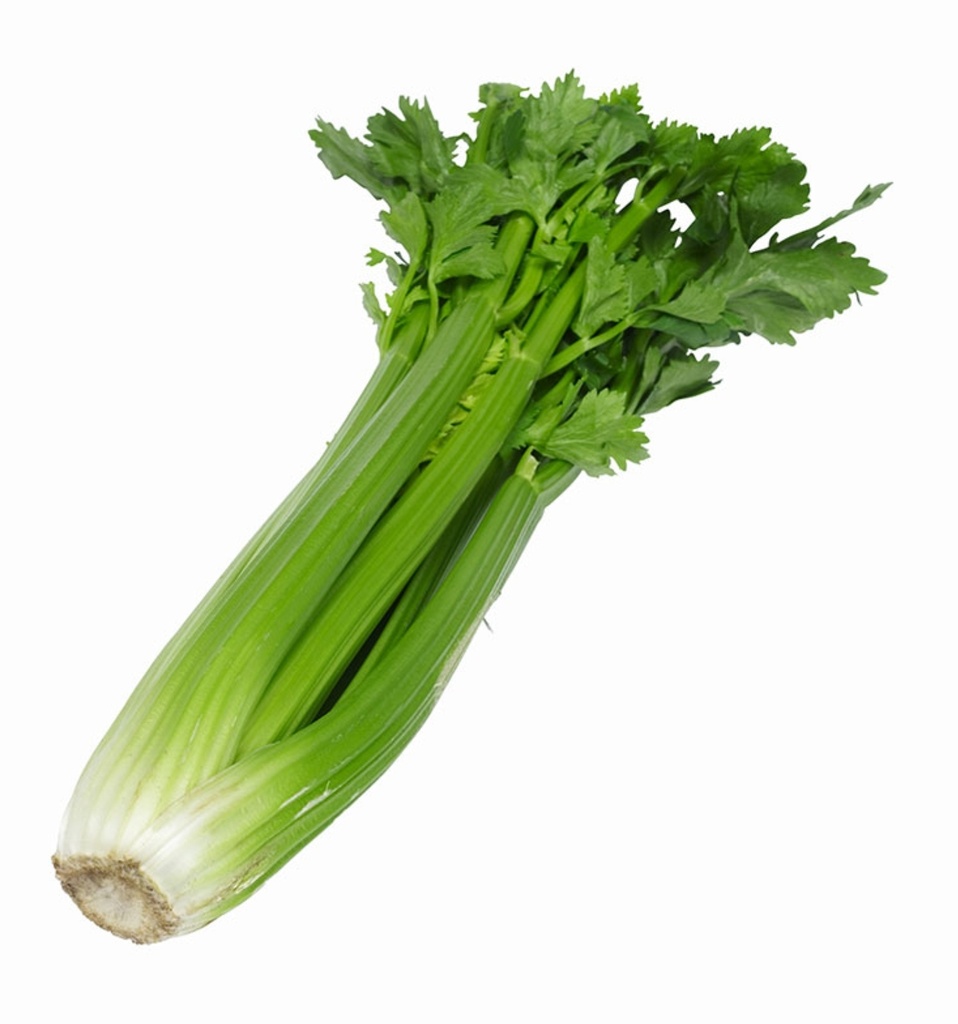 Celery