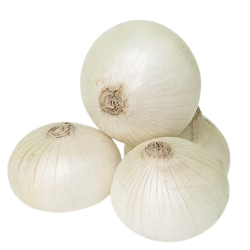 Onion White