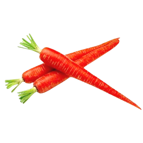 Carrot - Red