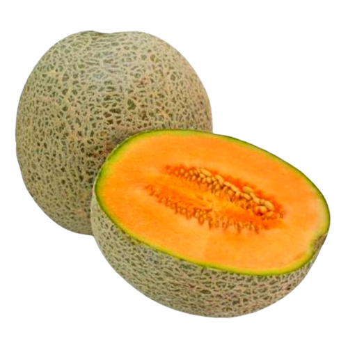 Musk Melon