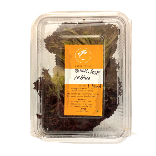 Krishi Cress - Lettuce Black Rose 1box