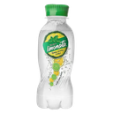 Bisleri Limonata 160ml