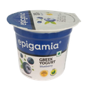 Epigamia Blueberry Greek Yogurt 90gm