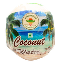 Foveo Fresh Coconut Water (Dabb)