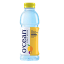 Ocean Mango Fruit Flavor 500ml