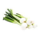 Spring Onion