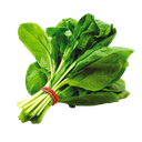 Spinach (Palak)