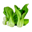 Bok choy