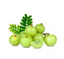 Fresh Amla