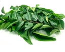 Curry Leaves