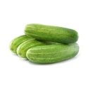 Cucumber Desi