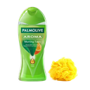 Palmolive Aroma Orange Shower Gel 250ml (Loofah Free In This Pack)