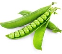 Green Peas