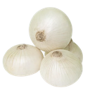 Onion White