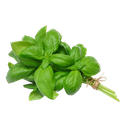 Basil Leaves