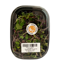 Krishi Cress - Microgreen Mix (1box 30gm)