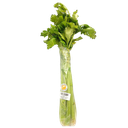 Krishi Cress - Celery 1pc