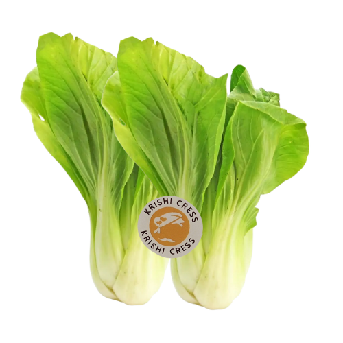 [RV108] Krishi Cress - Bok Choy