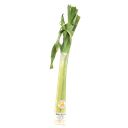 Krishi Cress - Leek 2pc